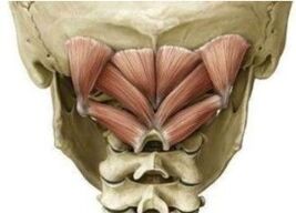 Muscoli profondi del collo che tengono l'atlante nella posizione sbagliata